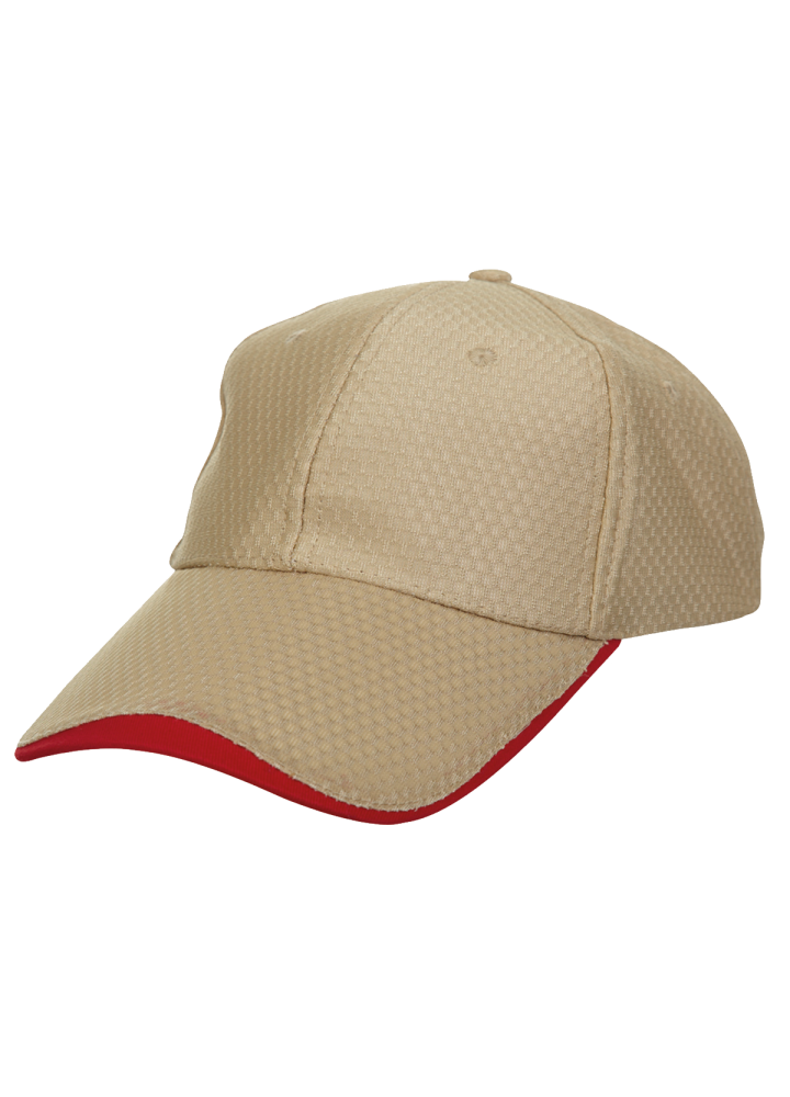 CP1311